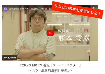 TOKYO MX スーパードクター