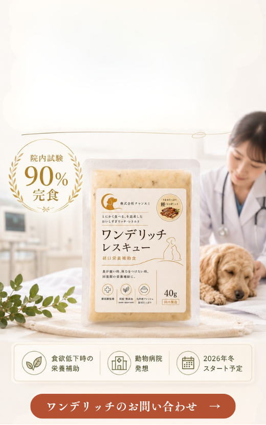 ワンデリッチ